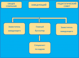 Структура и органы управления МБДОУ ЦРР ДС № 55